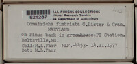 Image Associated With the Occurence